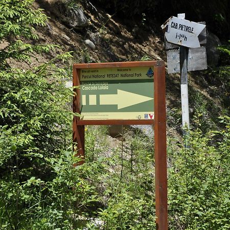 Cabana Cascada Carnic Nucsoara  Exterior foto