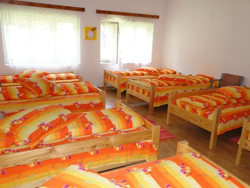 Cabana Cascada Carnic Nucsoara  Exterior foto