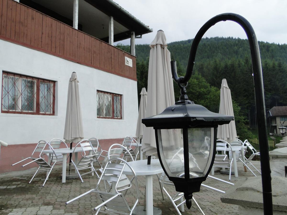 Cabana Cascada Carnic Nucsoara  Exterior foto