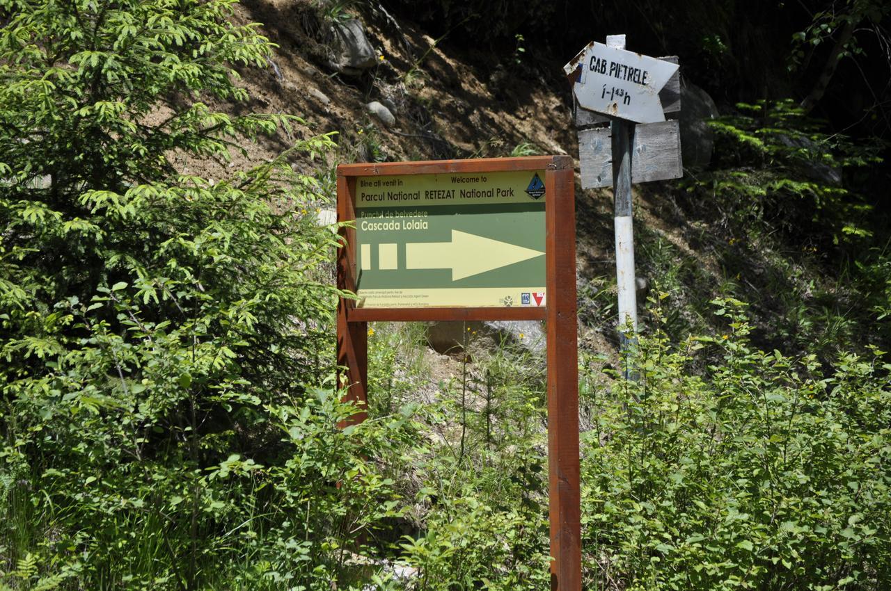 Cabana Cascada Carnic Nucsoara  Exterior foto