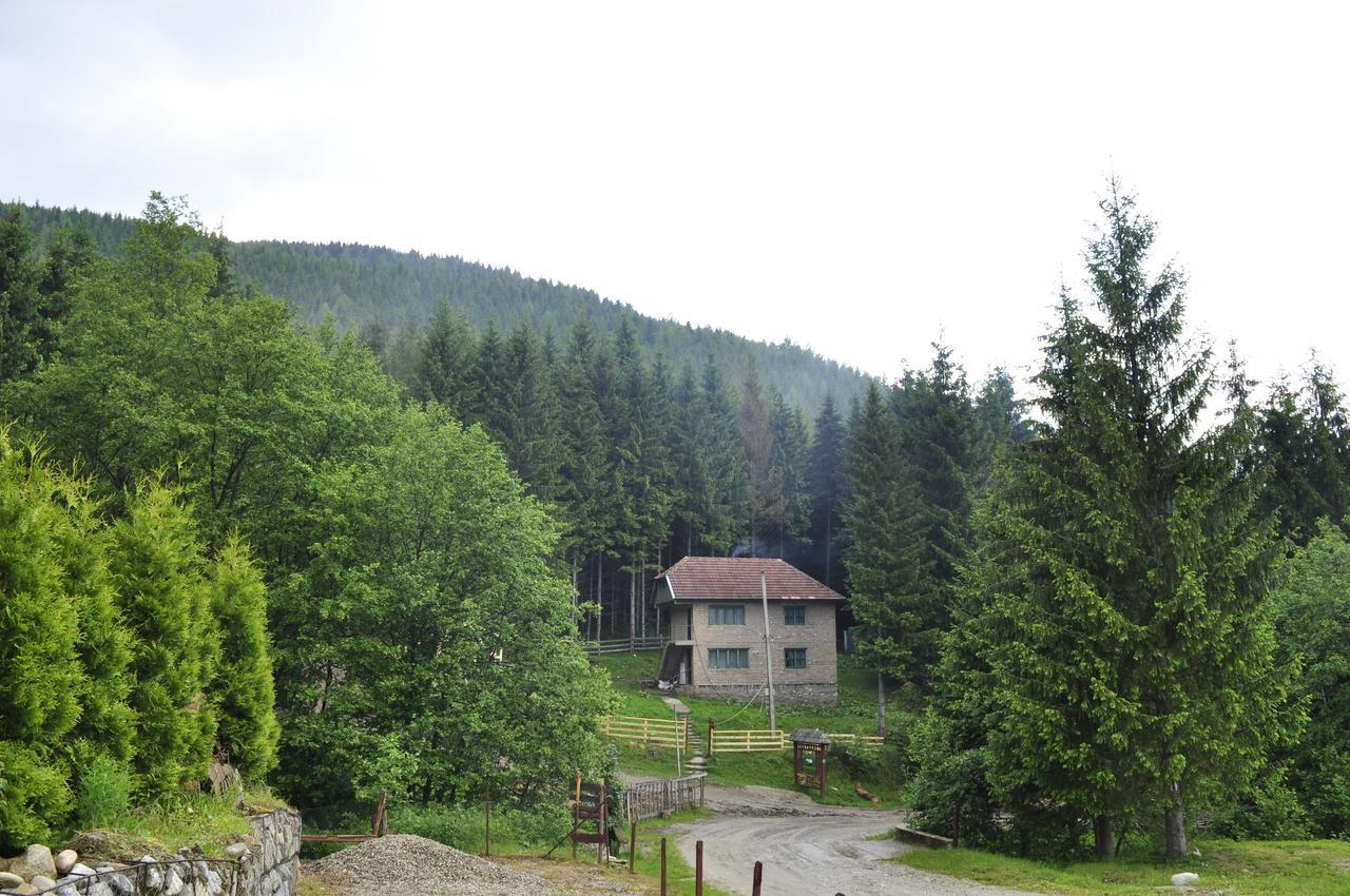 Cabana Cascada Carnic Nucsoara  Exterior foto